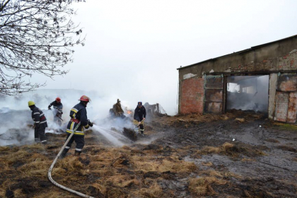 Incendiu puternic la Leova. Zeci de oi dintr-o gospodarie au pierit Incendiu puternic la Leova. Zeci de oi dintr-o gospodarie au pierit