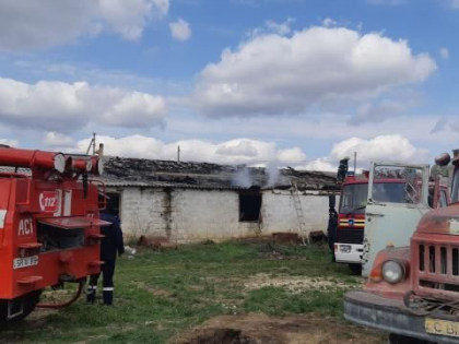 Incendiu la o ferma de pui din Telenesti Incendiu la o ferma de pui din Telenesti