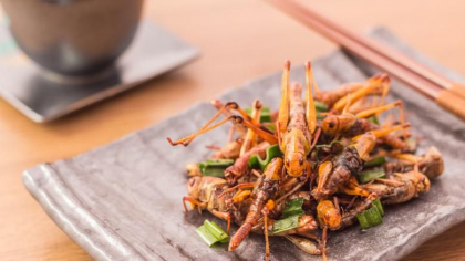 Insectele ar putea fi aprobate pentru consumul uman de catre Uniunea Europeana