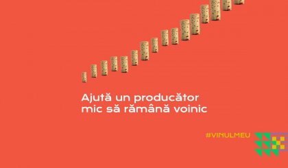 “Ajuta un producator mic sa ramana voinic” sau cum sustinem producatorii mici de vinuri in perioada crizei