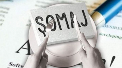 Platile salariale vor scadea cu 2,5 miliarde lei. Ce rectificari bugetare au pregatit autoritatile - mold-street.com