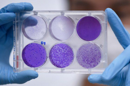 Niciodata in istorie un vaccin nu a fost mai anticipat. Pana si antivaxerii si-au schimbat parerile de teama coronavirusului