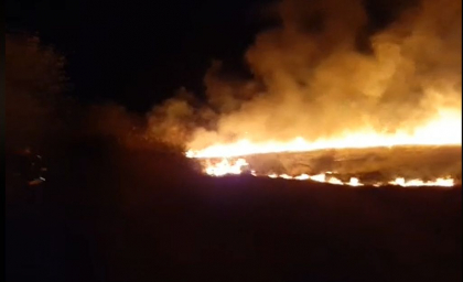 Incendiu de proportii la Straseni. Flacarile au cuprins o portiune de vegetatie uscata. Pompierii - la fata locului - VIDEO