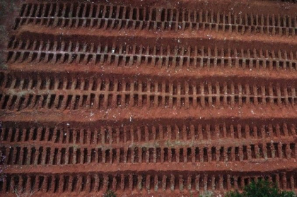 Imagini socante, mii de morminte pentru victimele Covid-19. Brazilia a devenit a doua tara din lume la numarul de cazuri - VIDEO Imagini socante, mii de morminte pentru victimele Covid-19. Brazilia a devenit a doua tara din lume la numarul de cazuri - VIDEO