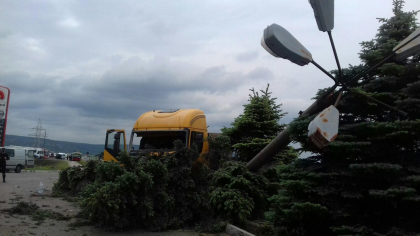 A pierdut controlul volanului, a intrat intr-un pilon de iluminare stradala si a doborat cativa copaci. Isparava unui sofer, care a provocat un accident la Orhei. Ce spun oamenii legii - FOTO A pierdut controlul volanului, a intrat intr-un pilon de iluminare stradala si a doborat cativa copaci. Isparava unui sofer, care a provocat un accident la Orhei. Ce spun oamenii legii - FOTO