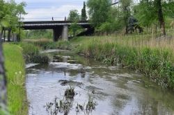 Nu vom mai avea inundatii pe strada Albisoara. Autoritatile promit ca vor curata raul Bac