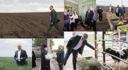"Presedintele risca, nu ca voi - tremurati si lesinati la prima iesire". Reactia lui Igor Dodon la acuzatiile PAS, precum ca mai multi bodyguarzi ar fi avut coronavirus, dupa vizitele sefului statului prin tara - VIDEO