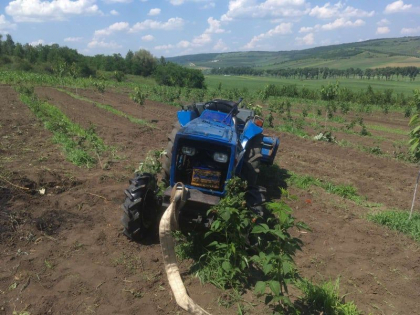 Un minor s-a rasturnat cu tractorul intr-o livada de ciresi, la Calarasi. Baiatul a fost preluat de o ambulanta Un minor s-a rasturnat cu tractorul intr-o livada de ciresi, la Calarasi. Baiatul a fost preluat de o ambulanta