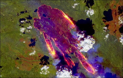 Situatie dezastruoasa in Rusia. 230 de incendii, sub forma unei pasari de foc Situatie dezastruoasa in Rusia. 230 de incendii, sub forma unei pasari de foc