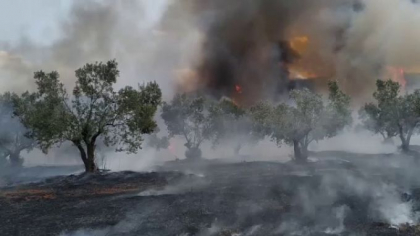 Incendiu de vegetatie puternic in Grecia. Sute de copii evacuati Incendiu de vegetatie puternic in Grecia. Sute de copii evacuati
