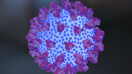 Cat suferi, de fapt, dupa coronavirus: studiul care iti arata ca vindecarea nu te scapa de probleme