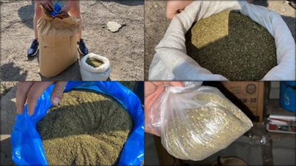 15 kg de marihuana in valoare de peste 2 milioane de lei, ridicate de la 7 indivizi. Traficantii, plasati in arest pentru 30 de zile. Schema prin care actionau - VIDEO 15 kg de marihuana in valoare de peste 2 milioane de lei, ridicate de la 7 indivizi. Traficantii, plasati in arest pentru 30 de zile. Schema prin care actionau - VIDEO