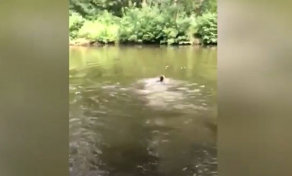 Un militar a salvat un barbat care era la un pas sa se inece intr-un lac din capitala - VIDEO Un militar a salvat un barbat care era la un pas sa se inece intr-un lac din capitala - VIDEO