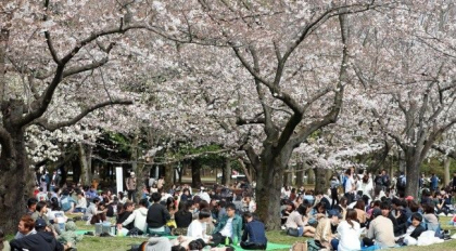 Tokyo ar putea declara starea de urgenta daca situatia se agraveaza Tokyo ar putea declara starea de urgenta daca situatia se agraveaza