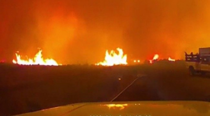 Incendii devastatoare in California. Poluarea a atins recorduri istorice