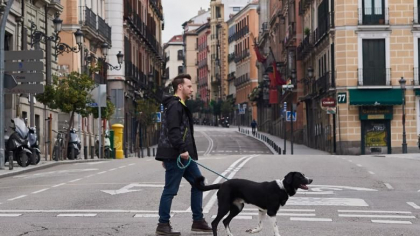 Germanii ar putea fi obligati prin lege sa-si scoata cainii la plimbare si sa nu-i lase prea mult singuri acasa Germanii ar putea fi obligati prin lege sa-si scoata cainii la plimbare si sa nu-i lase prea mult singuri acasa