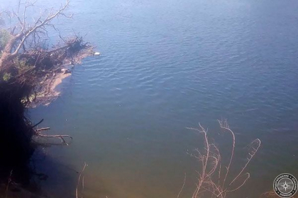 Un barbat, gasit inecat in raul Nistru, la Grigoriopol Un barbat, gasit inecat in raul Nistru, la Grigoriopol