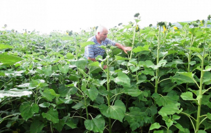 Chicu: In ultimii ani ne-am batut joc de solurile noastre. Cine nu va mai primi subventii agricole - Mold-street.com