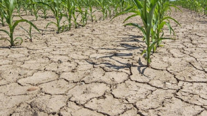 AIPA a autorizat spre plata primele cereri de acordare a compensatiei pentru diminuarea consecintelor calamitatilor naturale. Iata data limita de depunere a dosarului