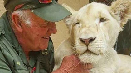 Un ecologist din Africa de Sud a fost omorat de leii pe care ii salvase si ii crescuse de cand erau pui Un ecologist din Africa de Sud a fost omorat de leii pe care ii salvase si ii crescuse de cand erau pui