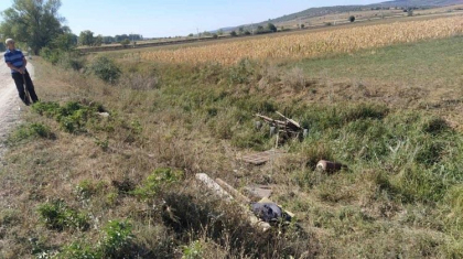 Un barbat beat s-a rasturnat cu caruta la Calarasi. Pasagerul acestuia a fost transportat la spital - GALERIE FOTO Un barbat beat s-a rasturnat cu caruta la Calarasi. Pasagerul acestuia a fost transportat la spital - GALERIE FOTO