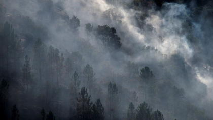 Fumul si particulele de cenusa de la incendiile de vegetatie din SUA au traversat Atlanticul si au ajuns pana in Olanda Fumul si particulele de cenusa de la incendiile de vegetatie din SUA au traversat Atlanticul si au ajuns pana in Olanda