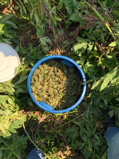 Afacere cu droguri, esuata. Sapte kilograme de cannabis, doua arme si zecii de mii de lei, gasite la un barbat din Ialoveni. Doi indivizi au fost retinuti, iar al treilea este cercetat in libertate Afacere cu droguri, esuata. Sapte kilograme de cannabis, doua arme si zecii de mii de lei, gasite la un barbat din Ialoveni. Doi indivizi au fost retinuti, iar al treilea este cercetat in libertate