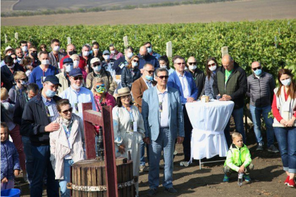 Ambasadori acreditati in Republica Moldova au cules struguri in UTA Gagauz-Yeri Ambasadori acreditati in Republica Moldova au cules struguri in UTA Gagauz-Yeri
