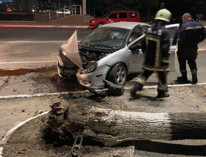 Accident la Hincesti. Un sofer, care conducea cu viteza excesiva, s-a izbit intr-un copac si l-a doborat. Acesta a fugit de la fata locului si este cautat de politie - FOTO