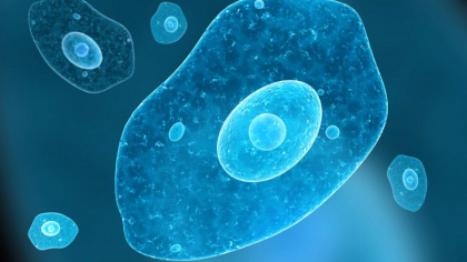 Alerta in Texas: In reteaua de apa a fost descoperit un microb care se hraneste cu creierul uman