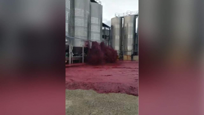 Mii de litri de vin au tasnit dintr-un rezervor urias, dupa o defectiune tehnica, in Spania - VIDEO Mii de litri de vin au tasnit dintr-un rezervor urias, dupa o defectiune tehnica, in Spania - VIDEO