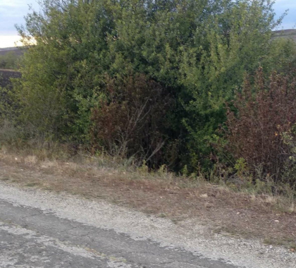 Minorul de 15 ani din Falesti, care a disparut, a fost gasit fara suflare. Ce spune politia