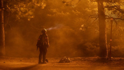 Incendiile din California au distrus o suprafata record de 1,6 milioane de hectare, de doua ori mai mult decat s-a inregistrat vreodata Incendiile din California au distrus o suprafata record de 1,6 milioane de hectare, de doua ori mai mult decat s-a inregistrat vreodata