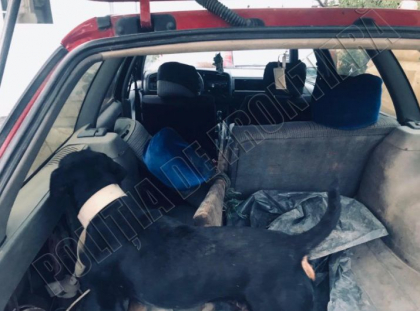 Focuri de arma la frontiera. Doi moldoveni, care se aflau ilegal in zona, au incercat sa fuga de politisti - FOTO Focuri de arma la frontiera. Doi moldoveni, care se aflau ilegal in zona, au incercat sa fuga de politisti - FOTO