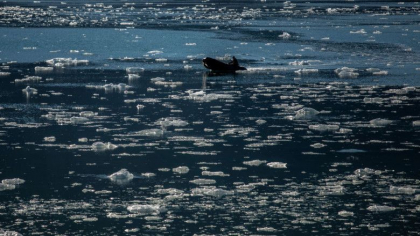 Fenomen fara precedent. Caldura-record din Siberia intarzie formarea ghetii in zona arctica Fenomen fara precedent. Caldura-record din Siberia intarzie formarea ghetii in zona arctica