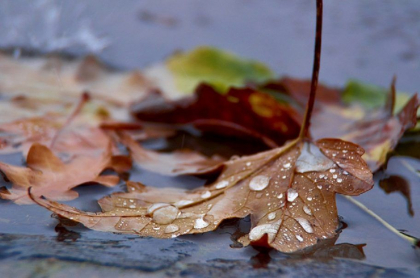 Cer noros cu maxime de pana la 18 grade se asteapta astazi in capitala. Cum va fi vremea in urmatoarele zile. Prognoza meteo - FOTO