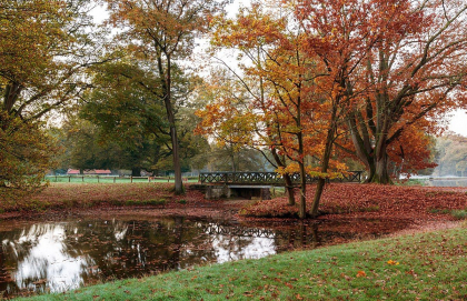 Temperaturi de pana la 9 grade vom avea astazi in capitala. Cum va fi vremea pe intreg teritoriul tarii. Prognoza meteo - FOTO