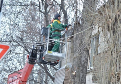 Pe mai multe strazi din capitala va avea loc curatirea arborilor. Iata care sunt acestea