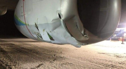 Un avion a lovit un urs brun in timp ce ateriza pe un aeroport din Alaska