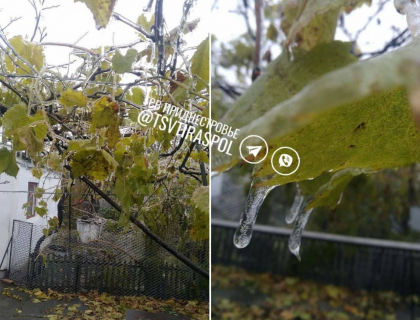 Se apropie iarna. Un strat de gheata a acoperit copaci si automobile - FOTO Se apropie iarna. Un strat de gheata a acoperit copaci si automobile - FOTO