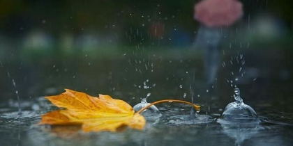 Ploi pe intreg teritoriul tarii. Cum va fi vremea in urmatoarele zile. Prognoza meteo - FOTO Ploi pe intreg teritoriul tarii. Cum va fi vremea in urmatoarele zile. Prognoza meteo - FOTO