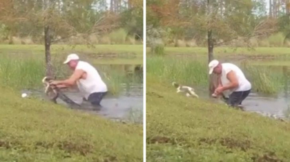 Lupta pe viata si pe moarte! Un barbat din Florida a luptat cu un aligator pentru a salva un caine. Videoclipul a fost vizionat de peste 8 milioane de ori pe TikTok. Atentie, urmeaza imagini care va pot afecta emotional - VIDEO Lupta pe viata si pe moarte! Un barbat din Florida a luptat cu un aligator pentru a salva un caine. Videoclipul a fost vizionat de peste 8 milioane de ori pe TikTok. Atentie, urmeaza imagini care va pot afecta emotional - VIDEO