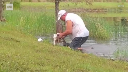 Momentul in care un barbat sare in apa ca sa-si salveze cainele atacat de un aligator - VIDEO Momentul in care un barbat sare in apa ca sa-si salveze cainele atacat de un aligator - VIDEO