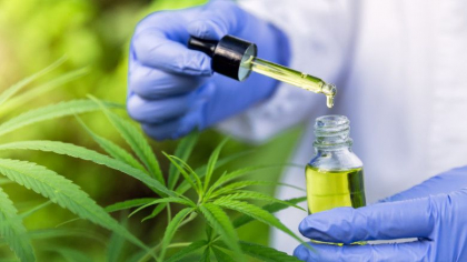 ONU recunoaste proprietatile medicinale ale canabisului ONU recunoaste proprietatile medicinale ale canabisului