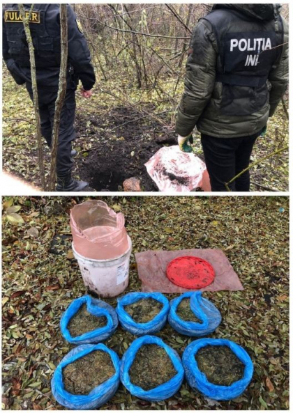 Un butoi cu peste 7 kilograme de marihuana, gasit intr-un ascunzis la Milestii Mici. Afacere cu droguri in valoare de peste un milion de lei, esuata. Inca un suspect, retinut. Schema prin care actionau - VIDEO