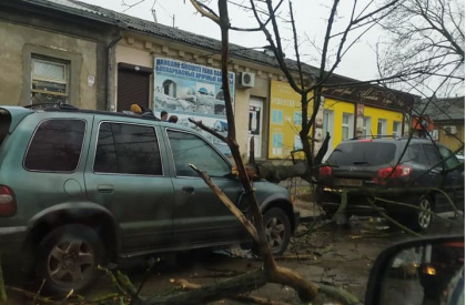 Reactia lui Ion Ceban, dupa ce un arbore a cazut peste masini pe o strada din capitala