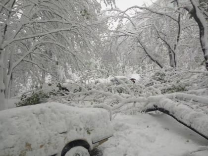 Iarna isi intra in drepturi: va ninge in urmatoarele zile, iar temperaturile coboara. Cum va fi vremea. Prognoza meteo - FOTO