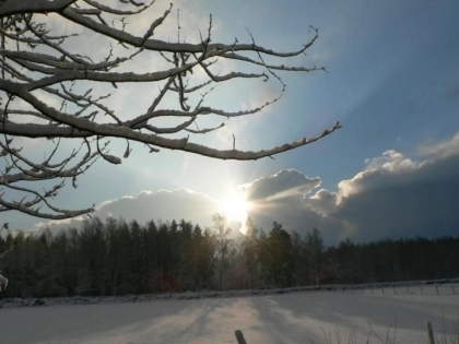 Prognoza meteo. Cum va fi vremea astazi, dar si in urmatoarele zile - FOTO