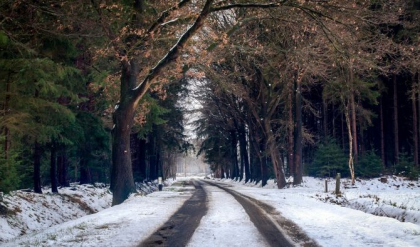 Cum va fi vremea astazi, dar si in urmatoarele zile - FOTO