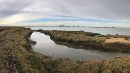 Povestea celui mai infiorator loc din Anglia: insula plina de ramasite umane si sicrie deschise. De ce este interzisa vizitarea Povestea celui mai infiorator loc din Anglia: insula plina de ramasite umane si sicrie deschise. De ce este interzisa vizitarea